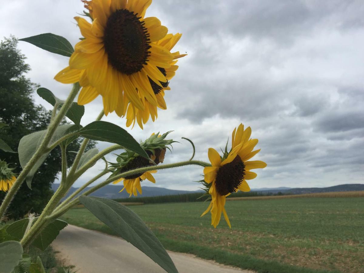 Marlibelle Hébergement de vacances *